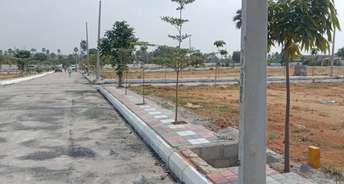  Plot For Resale in Chintalakunta Hyderabad 6111554