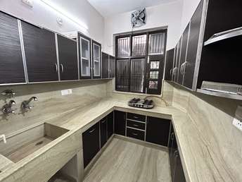 2 BHK Independent House For Rent in Bhai Randhir Singh Nagar Ludhiana 6112138
