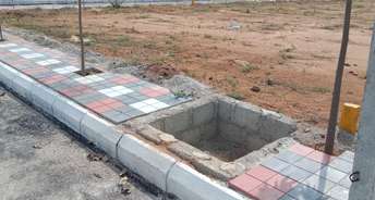  Plot For Resale in Brahmanapalle Hyderabad 6112180