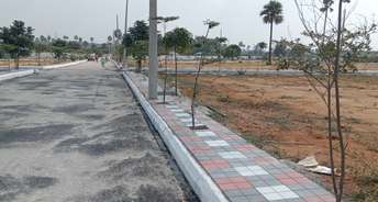  Plot For Resale in Chintakuntapalle Hyderabad 6112199