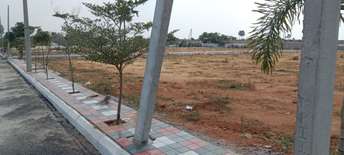  Plot For Resale in Chitkul Hyderabad 6112209