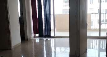 2 BHK Apartment For Rent in Gaur City 7th Avenue Noida Ext Sector 4 Greater Noida 6113457