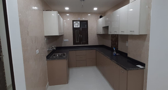 2 BHK Apartment For Resale in DGS Apartments Sector 22 Dwarka Delhi 6113598
