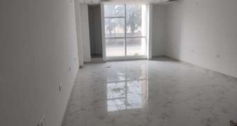 Commercial Office Space 800 Sq.Ft. For Rent In Sector 132 Noida 6114528