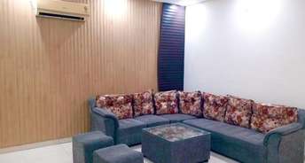 3 BHK Builder Floor For Rent in Lohgarh Zirakpur 6115319