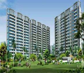2 BHK Apartment For Resale in Pivotal Paradise Sector 62 Gurgaon 6115347