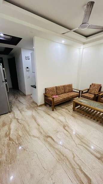 2 BHK Builder Floor For Rent in Gulmohar Park Delhi 6115504