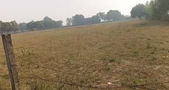 Commercial Land 27200 Sq.Ft. For Resale In Kathigera Lucknow 6115525