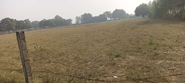 Lucknow District Sisendi Kalukheda Road 10 Bigha Land 600 Ka Front Demand 65 Lack/ Bigha