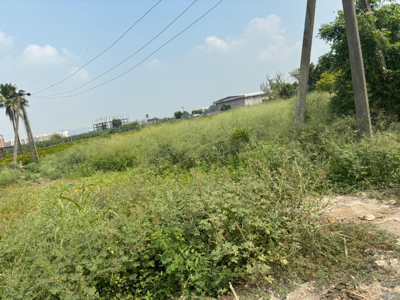 Commercial Land in Palakaluru Road Guntur Commercial Plots for Sale in