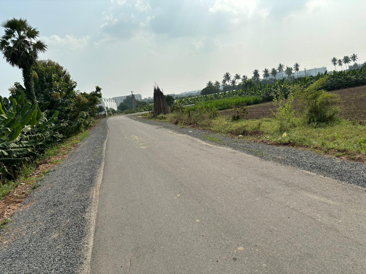 Commercial Land in Palakaluru Road Guntur Commercial Plots for Sale in Guntur.