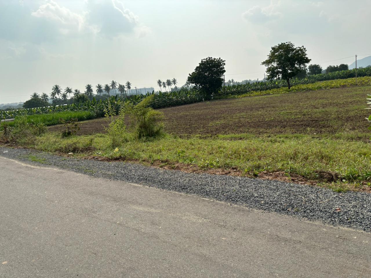 Resale Commercial Land 3900 Sq.Ft. in Kunchanapalli Guntur 6115786