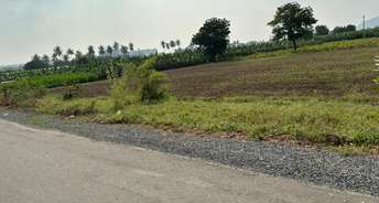 Commercial Land 3900 Sq.Ft. For Resale In Kunchanapalli Guntur 6115786