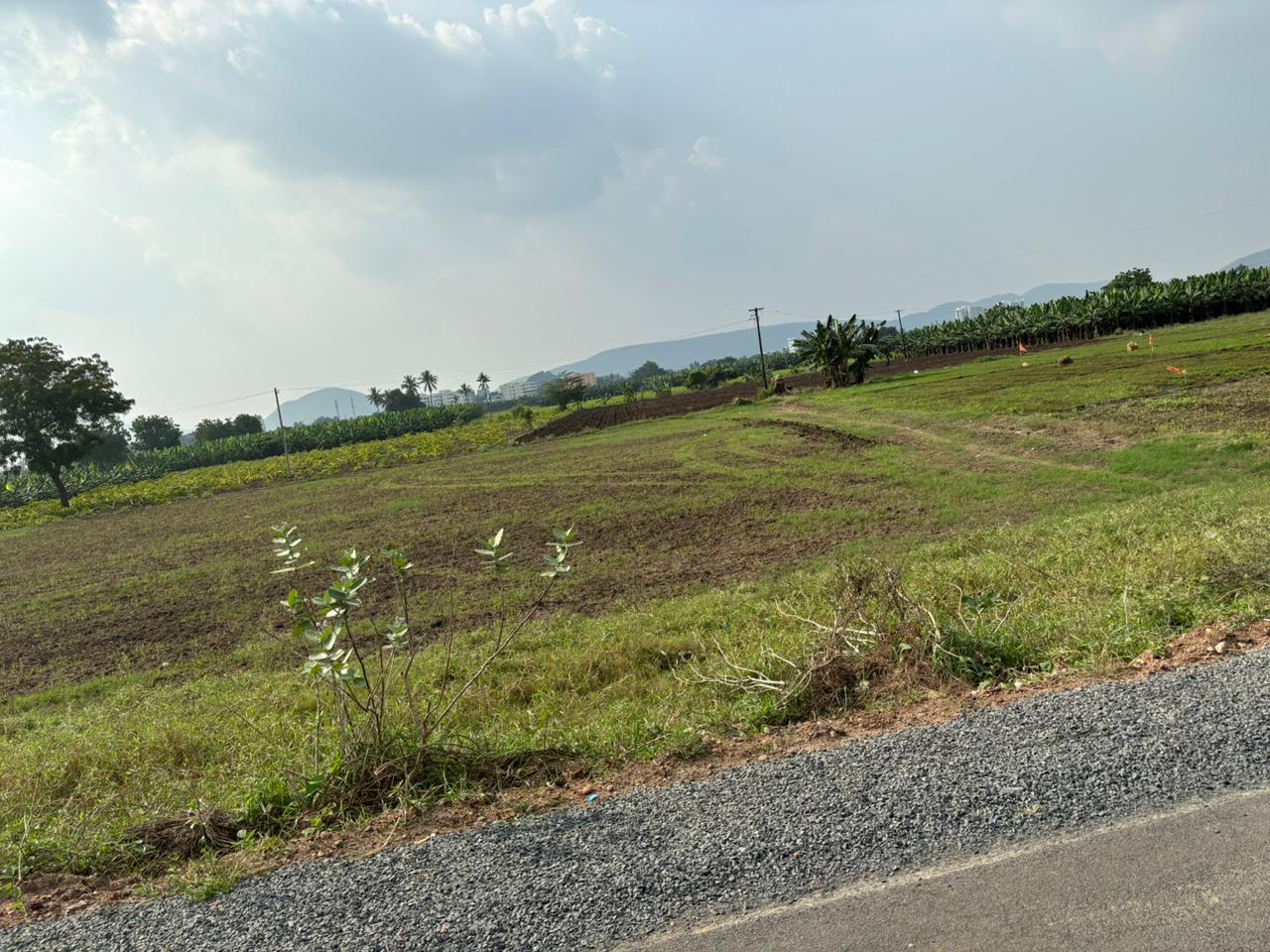 Commercial Land in Palakaluru Road Guntur Commercial Plots for Sale in