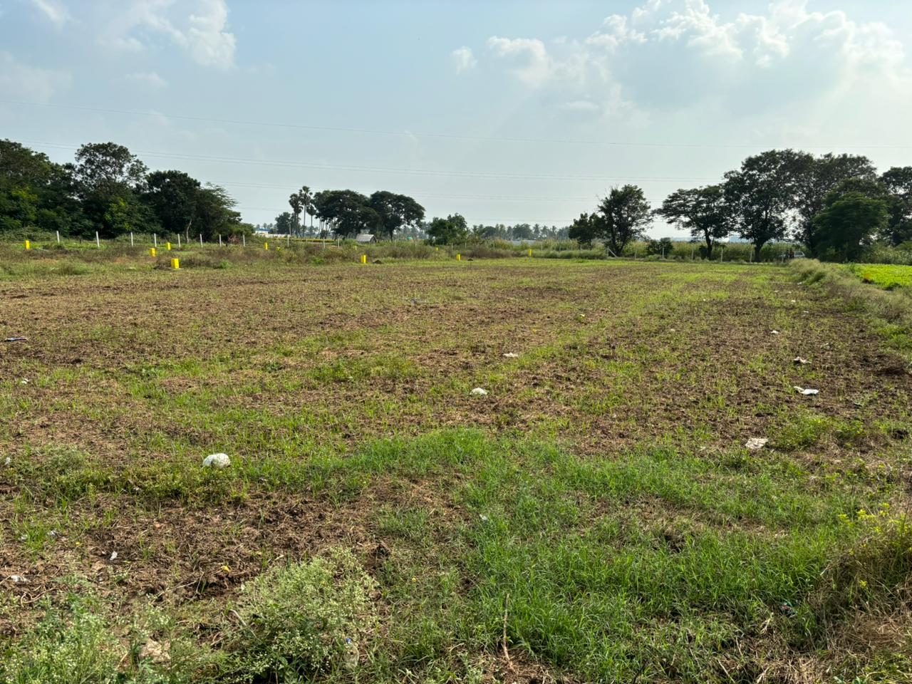 Commercial Land in Palakaluru Road Guntur Commercial Plots for Sale in