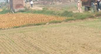 Commercial Land 13 Acre For Resale In Kundli Sonipat 6115965