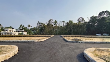 Plot For Resale in Udayamperoor Kochi  6116071