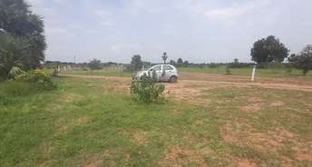  Plot For Resale in St Johns Road Bangalore 5970013