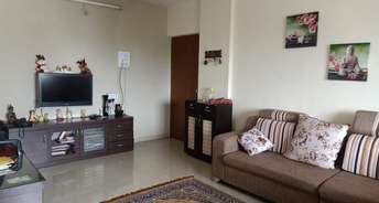 3 BHK Apartment For Rent in Bhusari Colony Pune 6116142