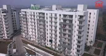 2 BHK Apartment For Resale in Sas Nagar Mohali 6116283