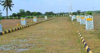 Plot For Resale in Jangaon Hyderabad 6083006