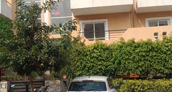 3 BHK Apartment For Rent in Bptp Park 81 Sector 81 Faridabad 6116885