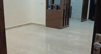 2.5 BHK Builder Floor For Rent in Shastri Nagar Delhi 6117332