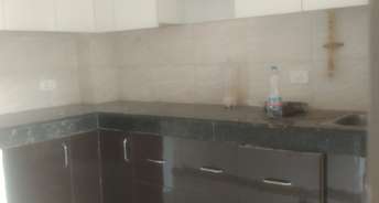 3 BHK Apartment For Rent in Ajnara Le Garden Noida Ext Sector 16b Greater Noida 6117611