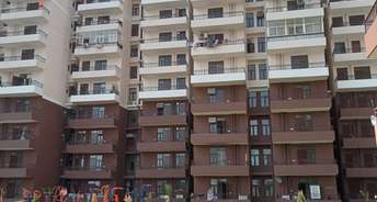 2.5 BHK Builder Floor For Rent in Sector 33 Sonipat 6118021