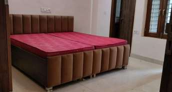 3.5 BHK Builder Floor For Rent in Sector 46 Gurgaon 6118412