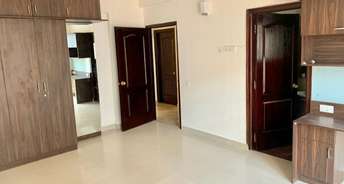 3 BHK Apartment For Rent in Elegant Solitaire Cunningham Road Bangalore 6119109