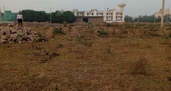  Plot For Resale in Sector 77 Faridabad 6119712