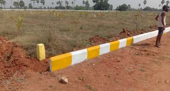  Plot For Resale in Jangaon Hyderabad 6119772