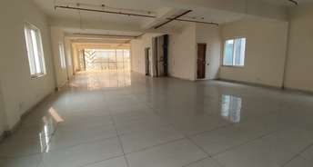Commercial Warehouse 3500 Sq.Yd. For Rent In Sector 30 Noida 6119847