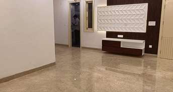 3 BHK Builder Floor For Rent in Burari Delhi 6120123