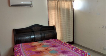 3 BHK Apartment For Rent in Maya Garden City Lohgarh Zirakpur 6121163