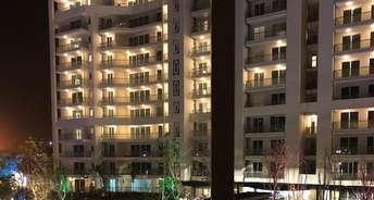 3 BHK Apartment For Resale in DLF The Crest Dlf Phase V Gurgaon 6121468