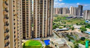 2 BHK Apartment For Rent in CRC Sublimis Noida Ext Sector 1 Greater Noida 6121665
