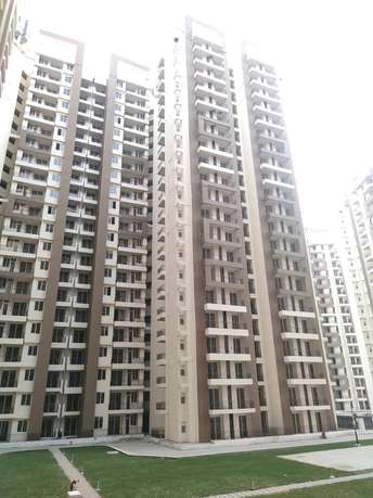 3.5 BHK Apartment For Rent in Amrapali Golf Homes Sector 4, Greater Noida Greater Noida 6121722