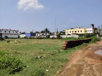 Commercial Land 19162 Sq.Ft. For Rent In Pratap Nagari Cuttack 6122102