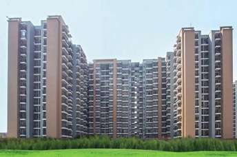 3 BHK Apartment For Resale in Saviour Park Mohan Nagar Ghaziabad  6122559
