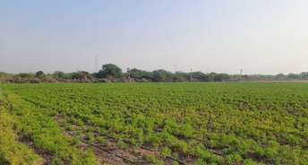 Commercial Industrial Plot 114 Acre For Resale In Sanand Ahmedabad 6122565