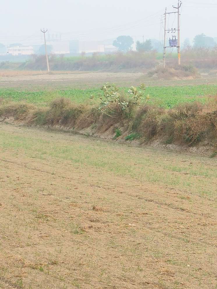 Commercial Land 12 Acre in Sonipat Road Sonipat