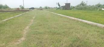  Plot For Resale in Sultanpur Road Lucknow 6123205
