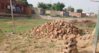  Plot For Resale in Sector 20 Greater Noida 6123340