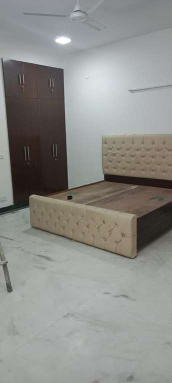 2 BHK Builder Floor For Rent in RWA Green Park Green Park Delhi 6123343