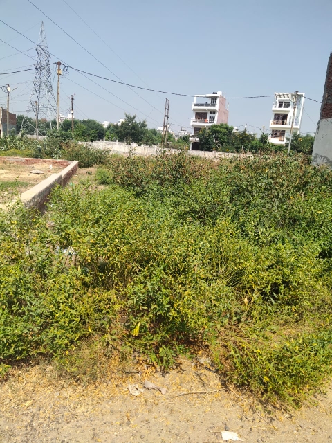 Plot For Resale in Govindpuram Ghaziabad  6123519