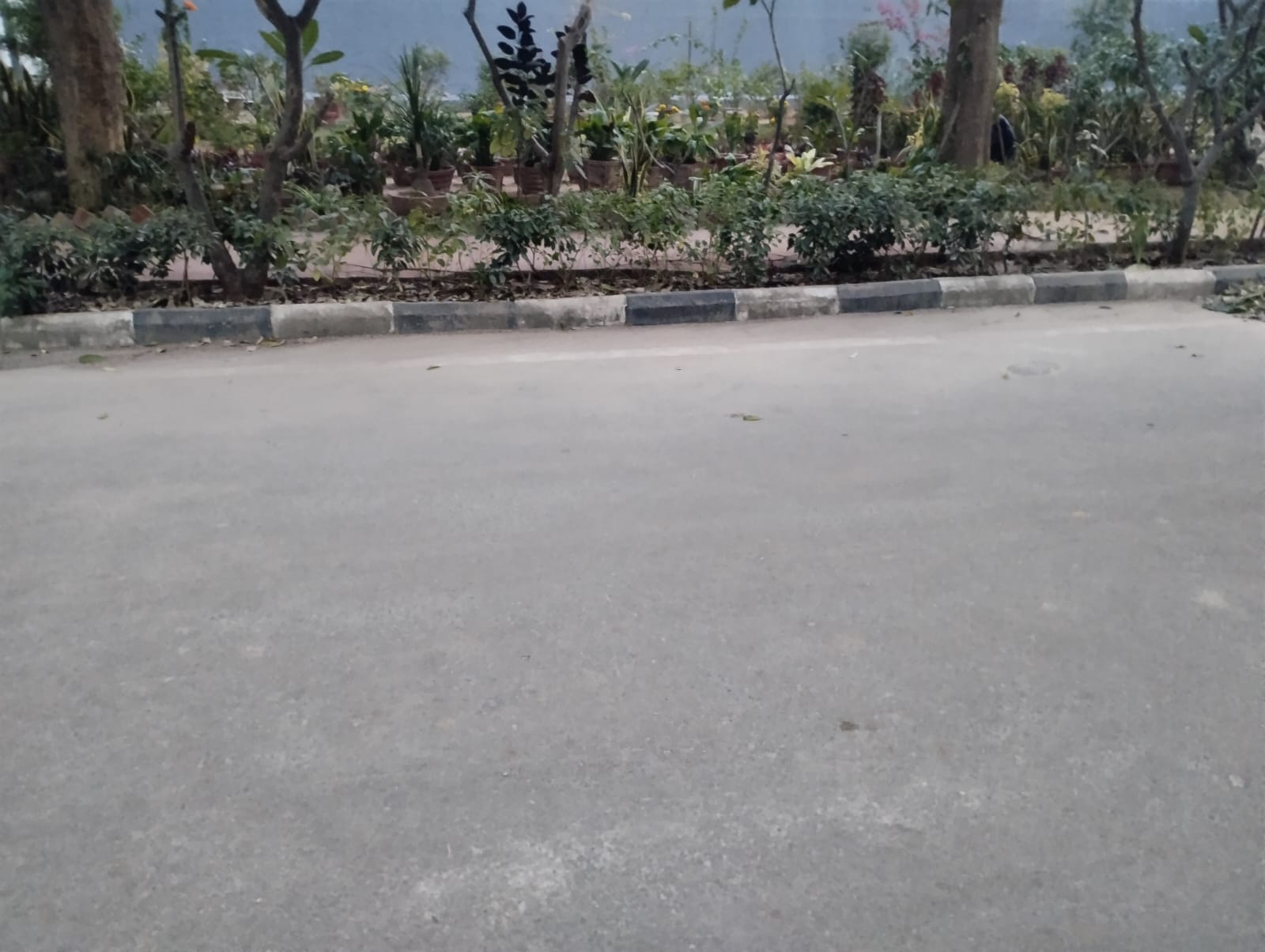 Plot For Resale in Kohli One Malibu Town Plot Sector 47 Gurgaon  6124312