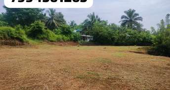 Plot For Resale in Ottapalam Palakkad 6124518