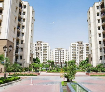 1 BHK Builder Floor For Rent in Ardee Platinum Courts Sector 52 Gurgaon 6125101